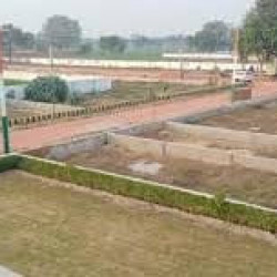 Plot In Offer Price 