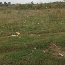 Residential Plot for Sale