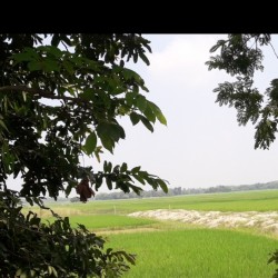 Residential Plot At Simra, Ajamagar,kadrabad,darbhanga