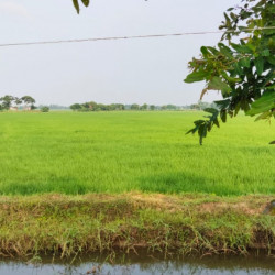 Cheapest Property Near Bihta Railway Station 