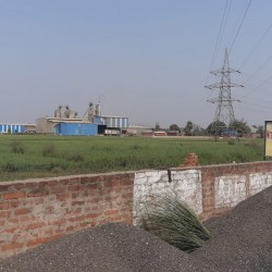 Bolo Plot On Highway