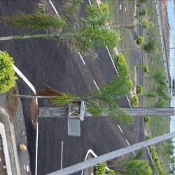 Residential Plots For Sale Near Darbhanga Airport