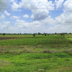 Plot Available Near National Highway 31, Can Be Used For Building A Colony Or Setting Up A Godown Or Any Factory
