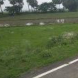 Agriculture Plot Land