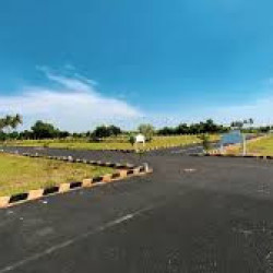Big Plot On 130 Wide Road 