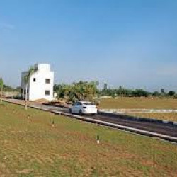 On Highway Township Plot In Naubatpur 