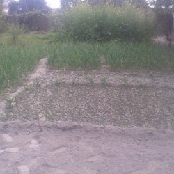 Residential Plot Near Baba Dham Mairwa