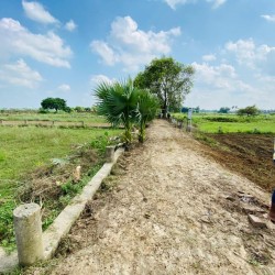 Freehold Plot In Bihta For Sale