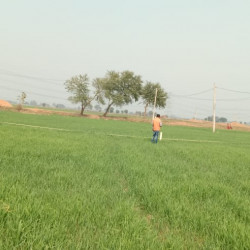 Pre Launching Offer Price In Bihta Township 