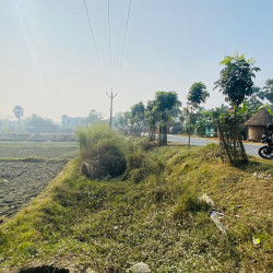 Freehold Plot In Bakarpur Sakari Muzzpharpur
