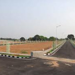 Residential Plot In Bihta Amhara Near Tulsi Hospital 