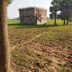 Rs. 20-23 Lakh-/kattha In Danapur, Patna 