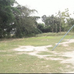 Agricultural Land For Lease
