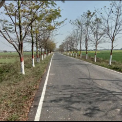 Residential Plot Available In Bihta