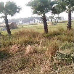 A Plot Of 15 Kathha For Sale In  Nawada Near Kena On On Nh31
