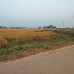 Residential Plot for Sale