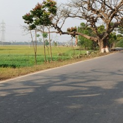 Commercial Plot Suitable For Petrol Pump And Godawn