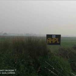 Plot In Shiwala For Sale