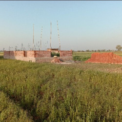 Residential Plot Available In Offer Price @-399-/sq Ft