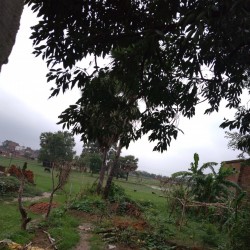 Residential Plot for Sale in Patna