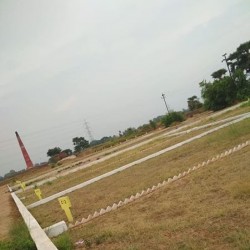 Plot Le Sasaram Mein 1.5 Lakh Mein 100percent Cash Back Ke Sath Mein Offer Sirf Simit Samay Tak Ke Liye Hai