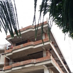Commercial Property For Rent In Chhapra
