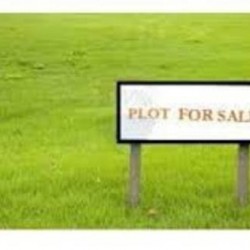 Residental Plot For Sell