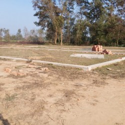 Plot Near Aiims