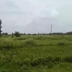 Commercial Plot Located Directly On Nh-31 Fatehpur (near Fatehpur Chauraha)