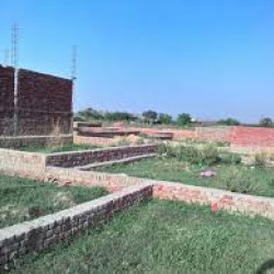 Well Developed Society In Bihta 