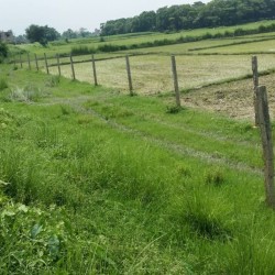 Plot For Sale In Katihar Hira Vihar Lane