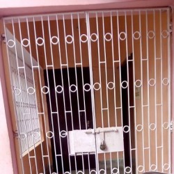 Family Flat For Rent