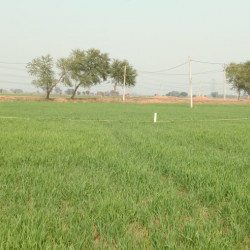 Bihta Ka Sabse Sashata Plot Or Sabse Nearest Plot