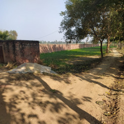 Residential Plot For Sell Danpur At 26 Lakh-/kattha 