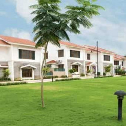 Residential Plot For Sell In Ashopur Danapur 