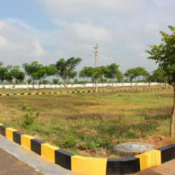 On Road Plot In Kanhaulli Bihta 