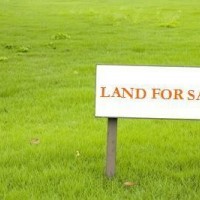 Lots Of Land Available For Sale On Nh-98 On Main Road - 25 Lakh Per Katha And On Branch Road - 10 Lakh Per Katha Near Aiims -naubarpur Road