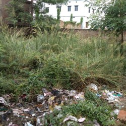 Residential Plot For Sale