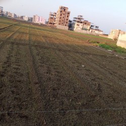 Plot In Patna For Sale