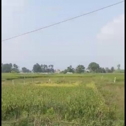 Residential Plot For Sale