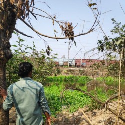 Residential Plot for Sale