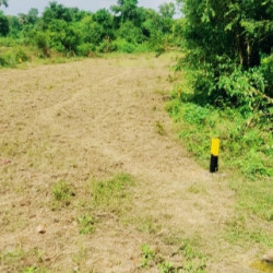 Patna Bihta K Location Me Commercial Residential Plot K Liye Contact Karen