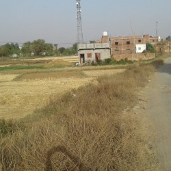 Residential Plot