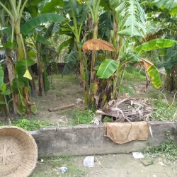 Residential Plot