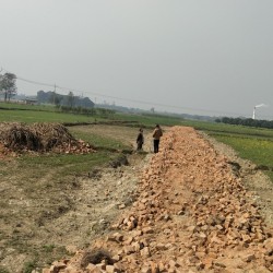 New Sai City (naubatpur)