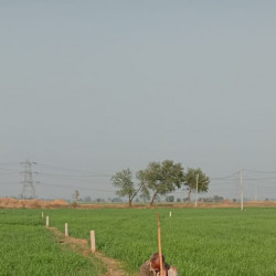 6 Kattha Corner Commercial Plot For Sell At -749-/sq Ft