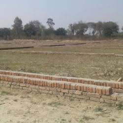 2 bigha Plot For Sale