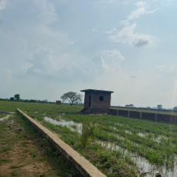 Plot Near Nit 