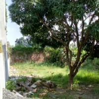 Residential Plot Opposite Gayatri Mandir, Ram Krishna Nagar, Siwan, Bihar
