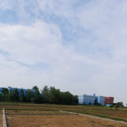 Residential Plot In Shivala Par
